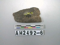 藏品(石刀殘件)的圖片